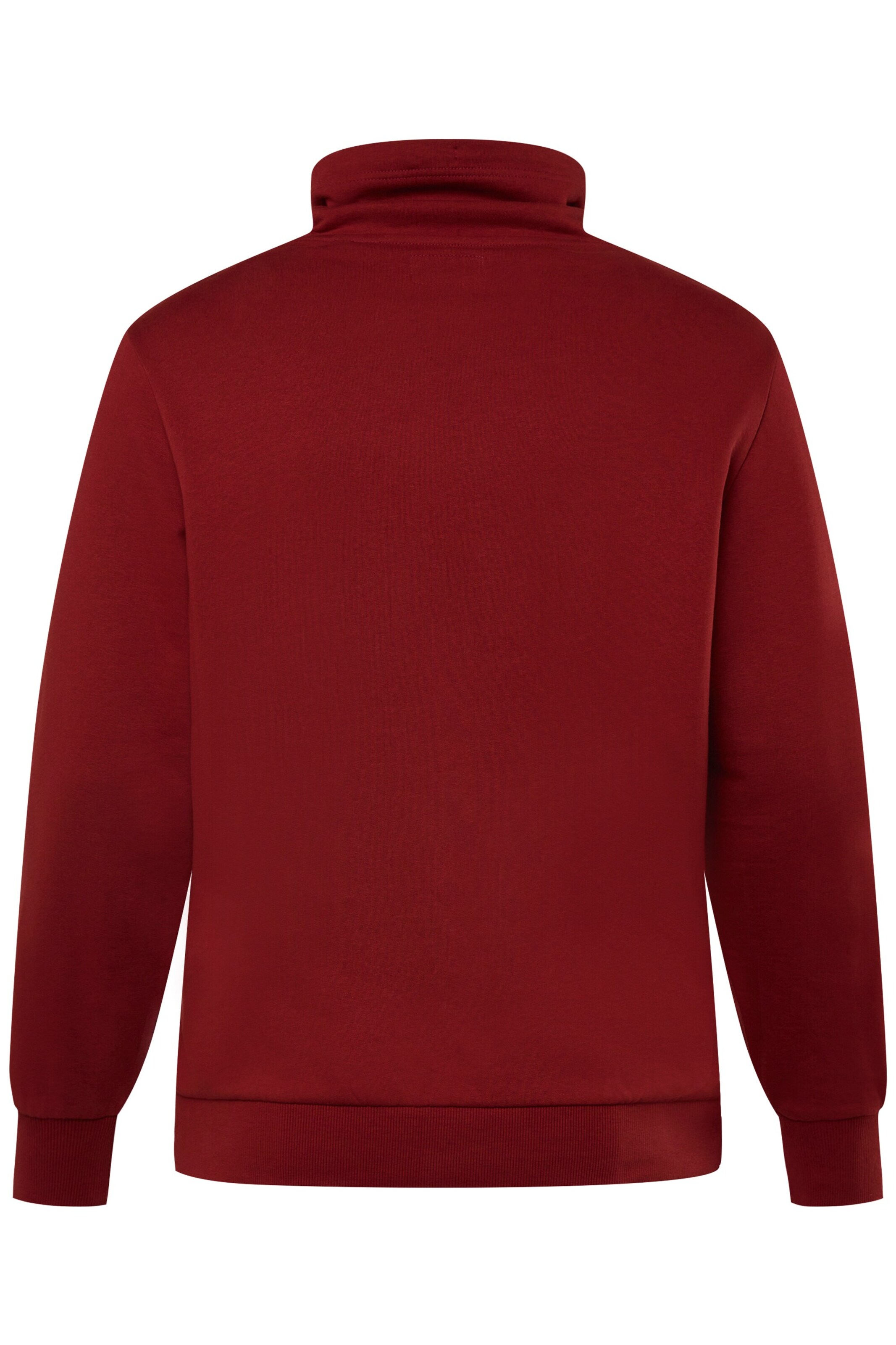 Men Plus Sweatshirt in Red