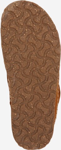 BIRKENSTOCK - Botim 'LEVE' em castanho