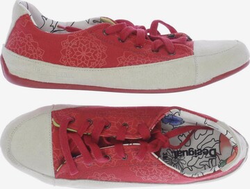 Desigual Sneakers & Trainers in 39 in Red: front