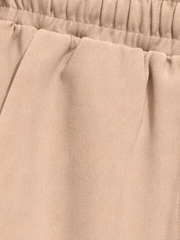 Tapered Pantaloni di MixRay in marrone