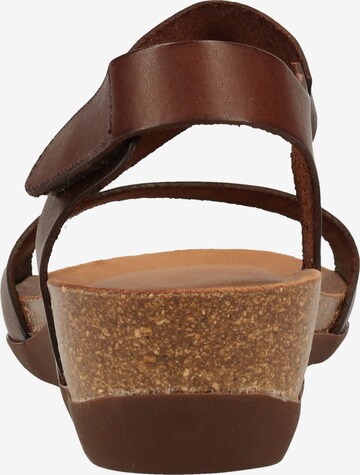 COSMOS COMFORT Strap Sandals in Brown