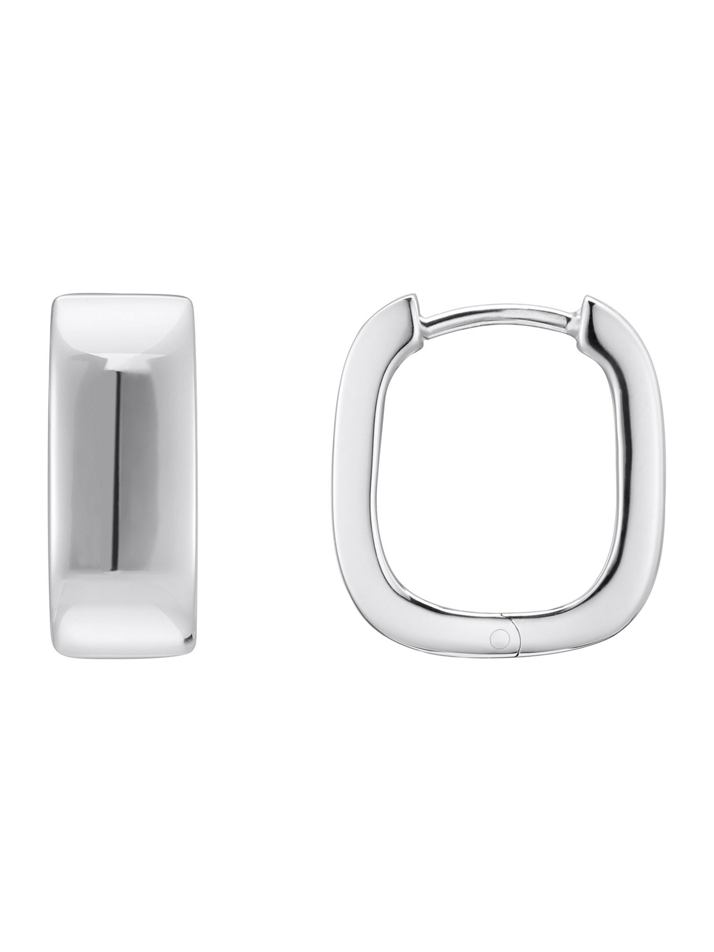 Thomas Sabo Earrings in Silver: front