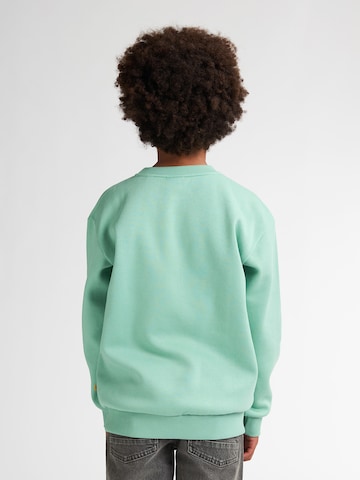 Petrol Industries Sweatshirt in Grün