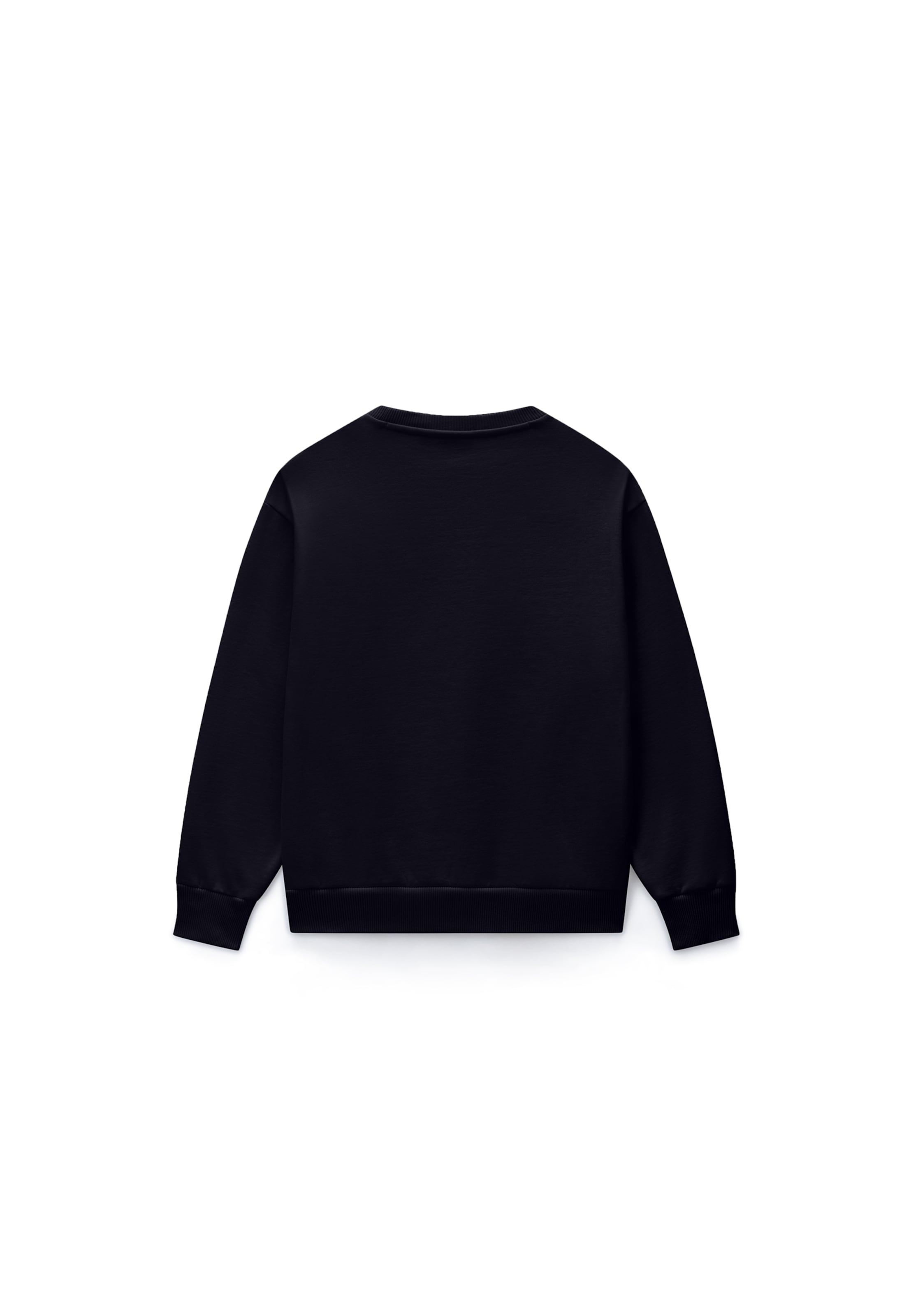 NAPAPIJRI Sweatshirt in Blue