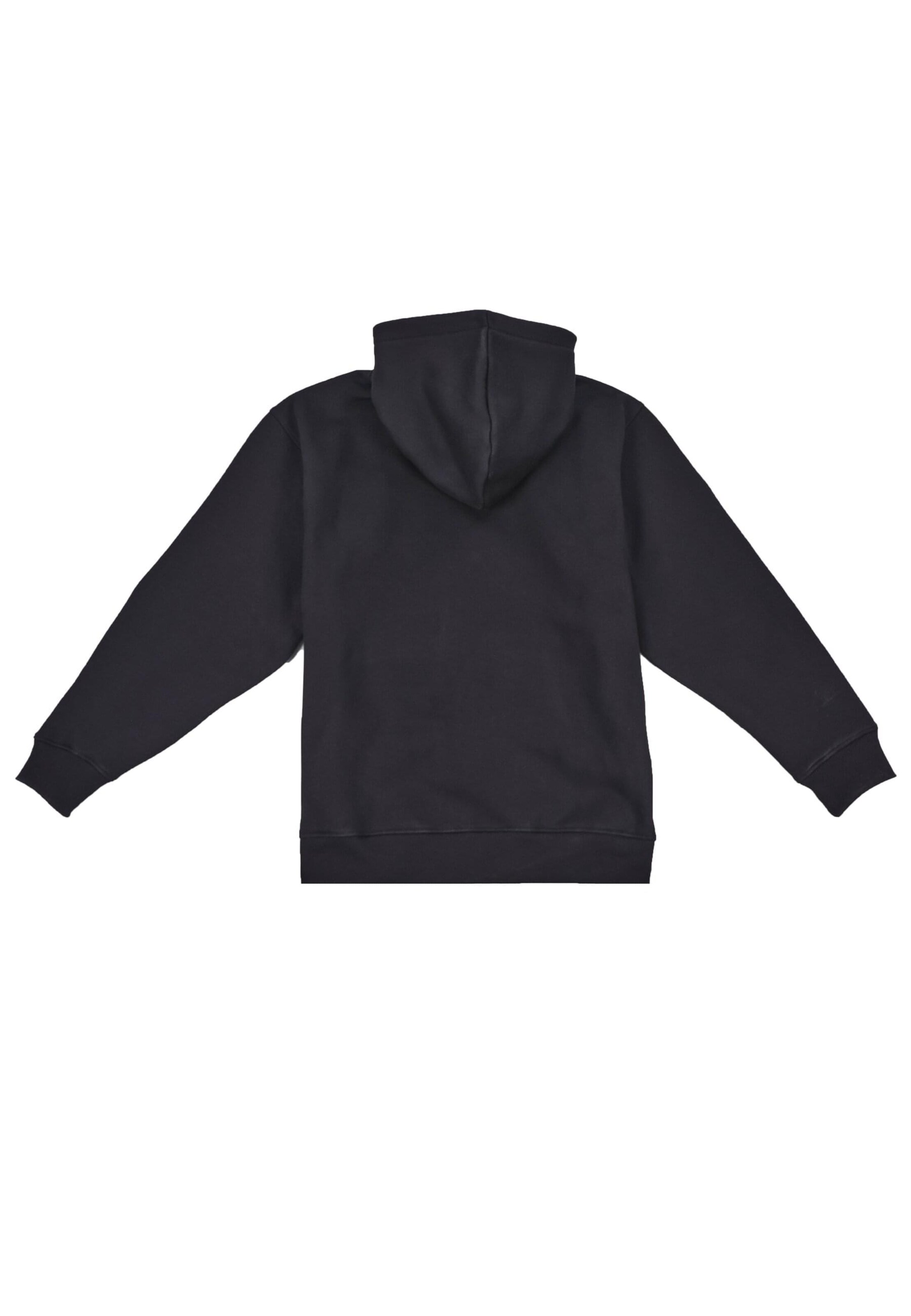 Dropsize Sweatjacke in Schwarz
