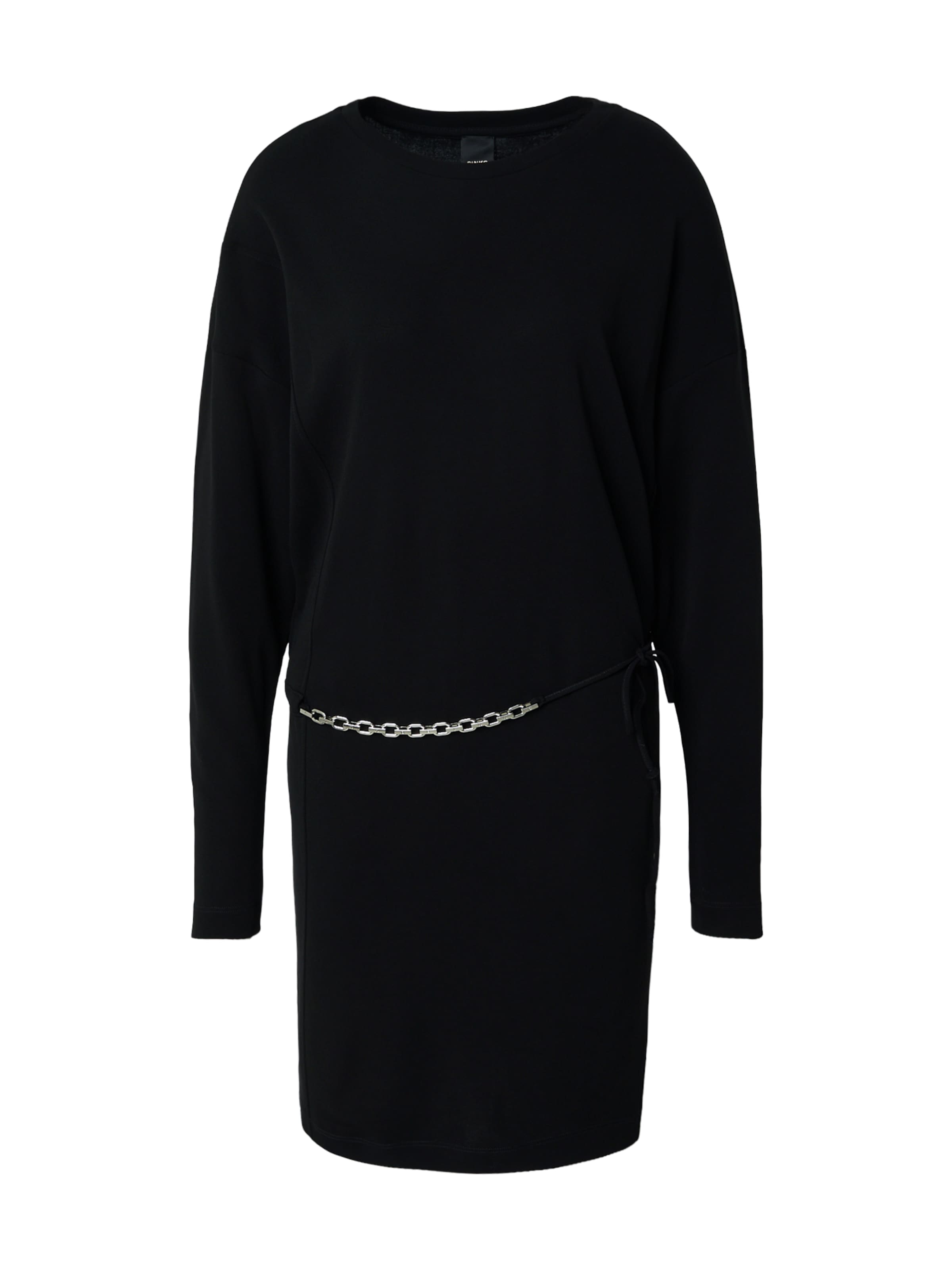 PINKO Платье 'ARDISIA ABITO' в Черный: спереди