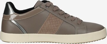 GEOX Sneaker in Braun