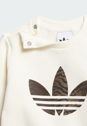 Survêtement ADIDAS ORIGINALS en marron