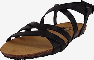 Sandales 'Mam Vali' Plakton en noir : devant