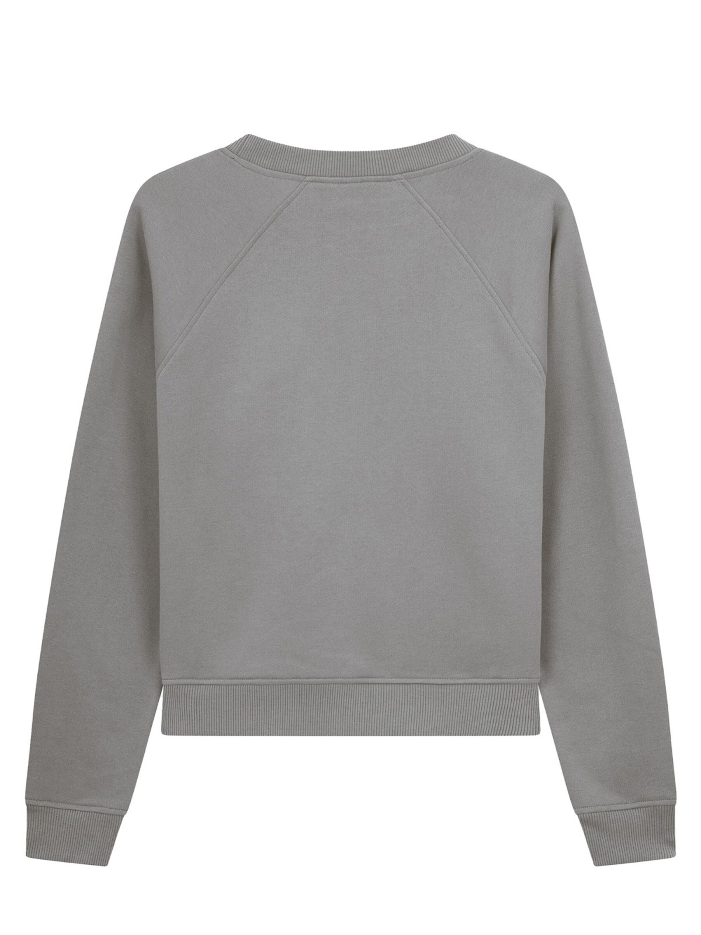 NOORLYS Sweater 'DERNEN' in Grey