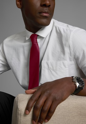 Man's World Tie in Red