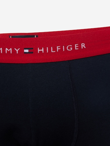 Tommy Hilfiger Underwear Шорты Боксеры в Синий