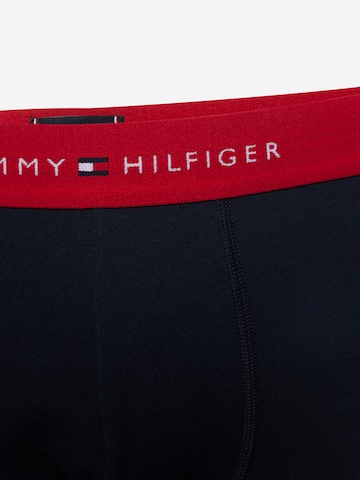 Tommy Hilfiger UnderwearBokserice - plava boja