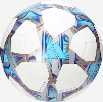 ADIDAS PERFORMANCE Ball 'Ucl 23/24 Group Stage' in Weiß: predná strana