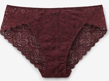 INTIMISSIMI Slip in Rot: Vorderseite