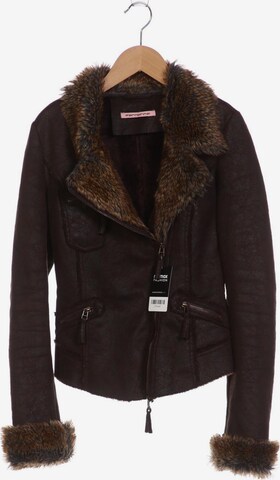 Fornarina Jacket & Coat in S in Brown: front