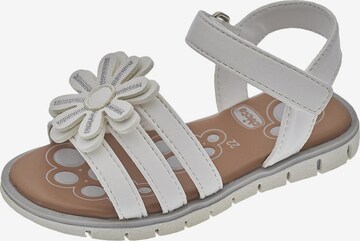 CHICCO Sandalen 'Calista' in Wit: voorkant