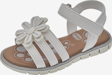 CHICCO Sandals 'Calista' in White: front