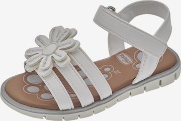 CHICCO Sandalen 'Calista' in Wit: voorkant