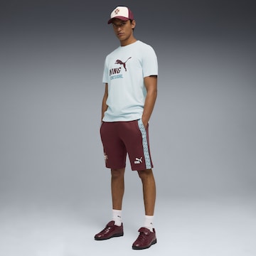 PUMA Regular Sports trousers 'Portugal King' in Red