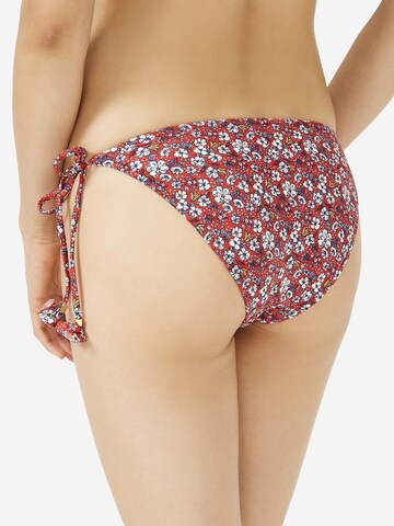 Penti Bikini nadrágok - vegyes színek