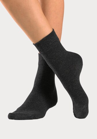 H.I.S Socks in Grey: front