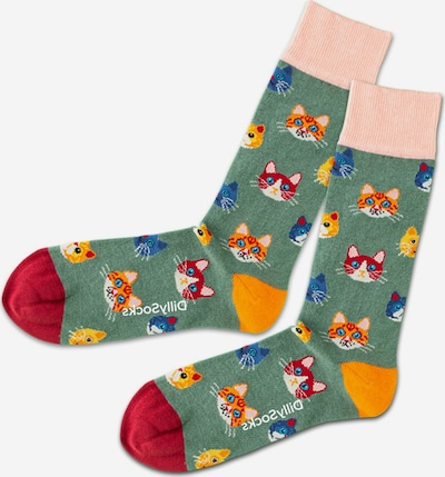 DillySocks Socks 'Grassy Kitten' in Blue / Yellow / Green / Light pink / Red, Item view
