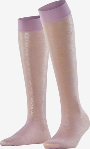 FALKE Overknee Strümpfe 'Soft Spell' in Lila: Vorderseite