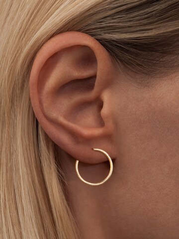 Lulu Copenhagen Earrings in Gold