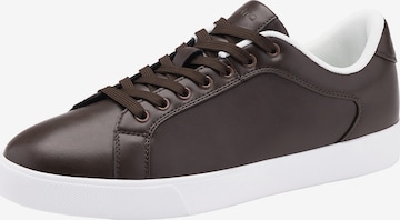 Baskets basses Ombre en marron : devant