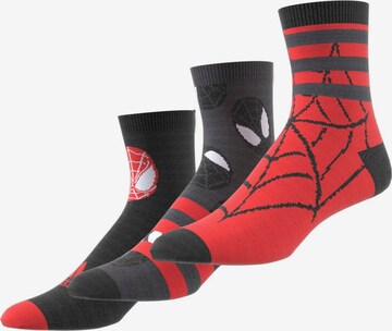 ADIDAS PERFORMANCE Sportsocken in Mischfarben: predná strana