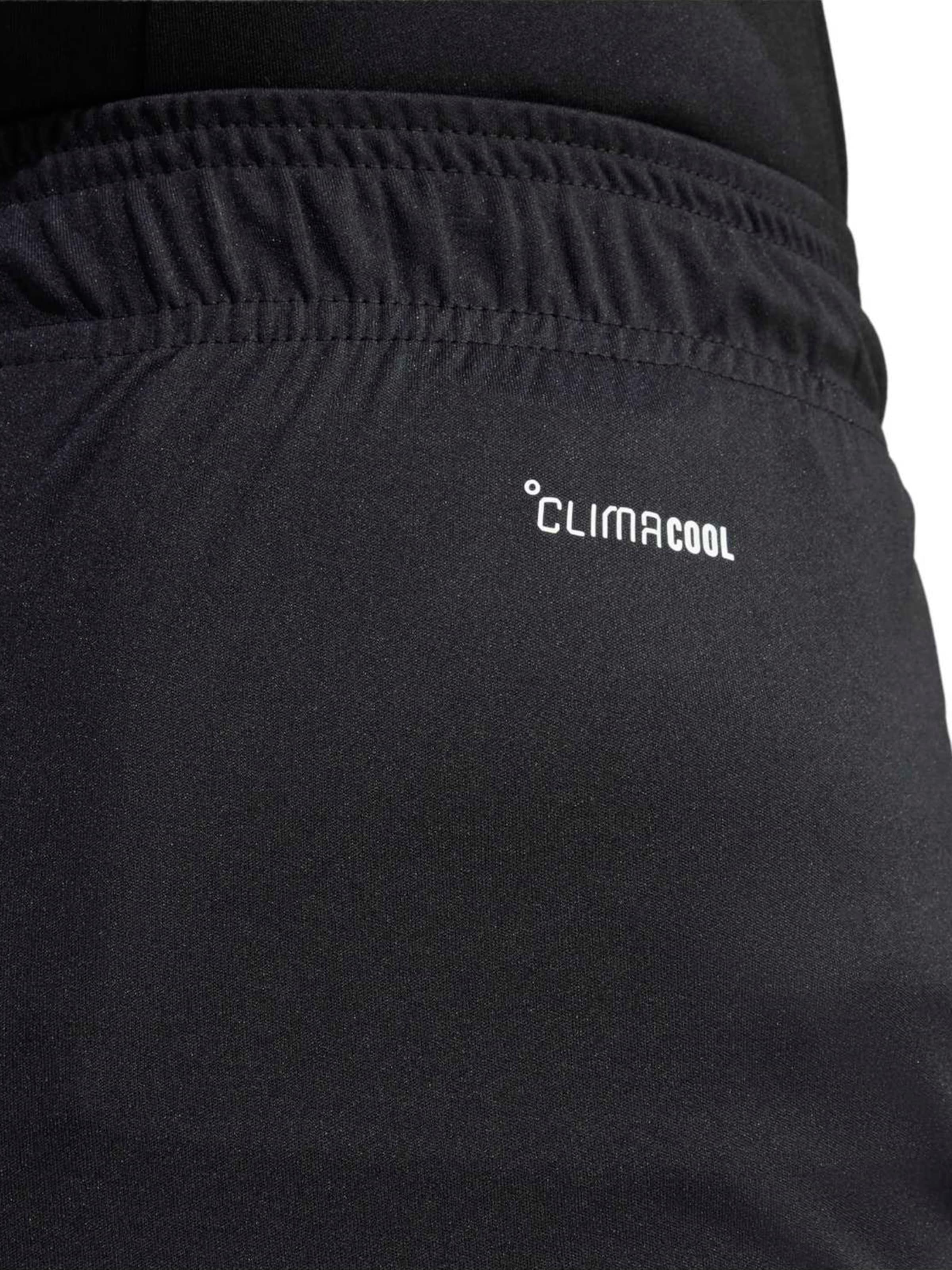 juoda ADIDAS PERFORMANCE Standartinis Sportinės kelnės 'ENT26'