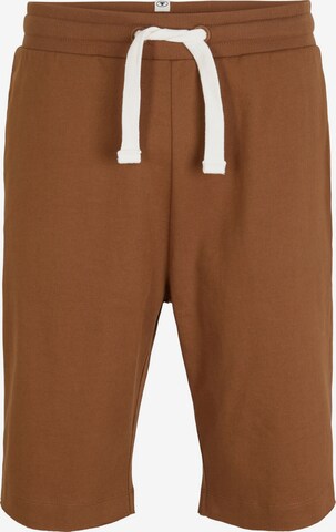 TOM TAILOR Regular Pants in Brown: front