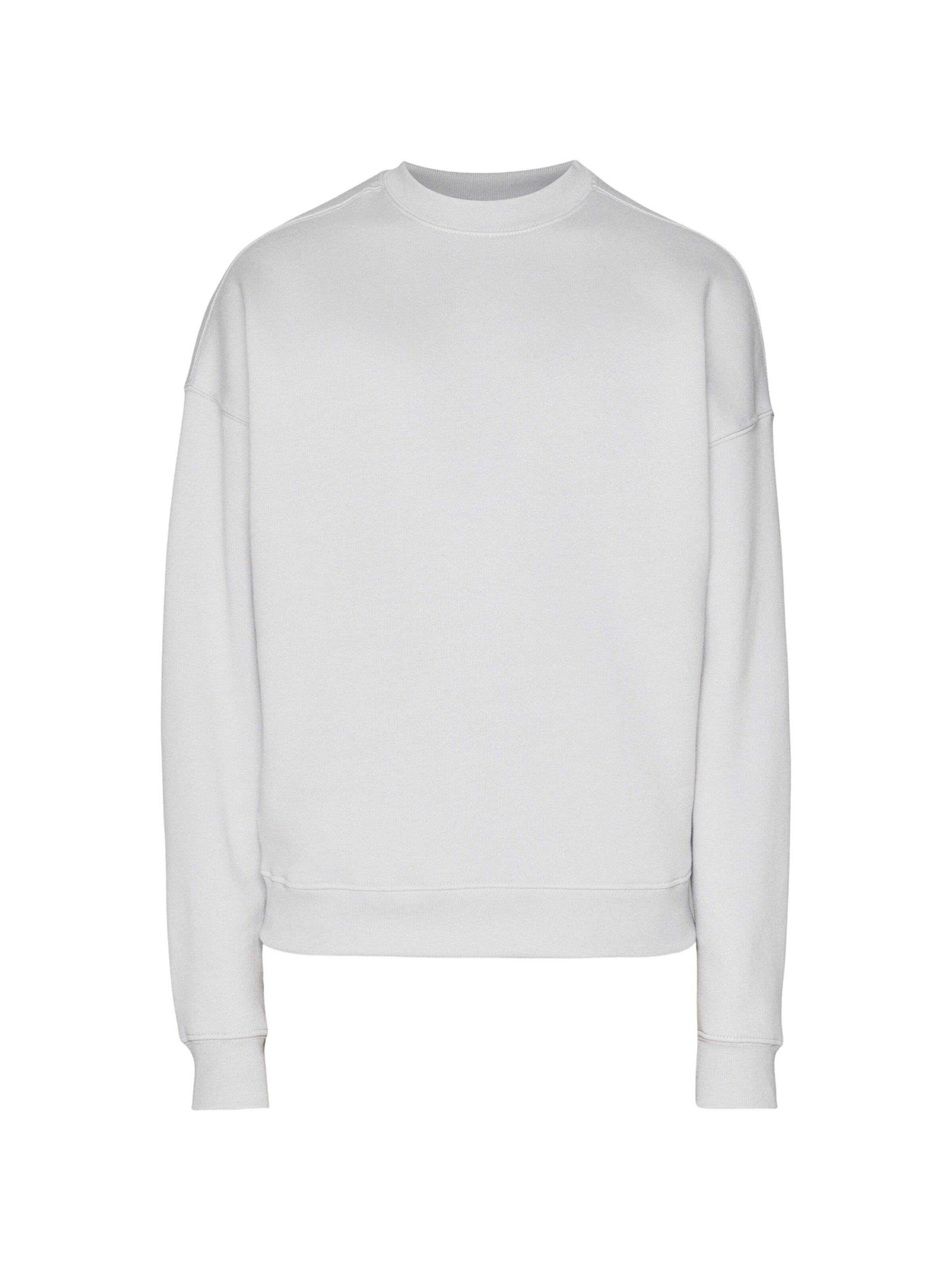 ALPHA INDUSTRIES Sweatshirt i grå: forside