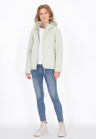 Veste en polaire Schmuddelwedda en vert