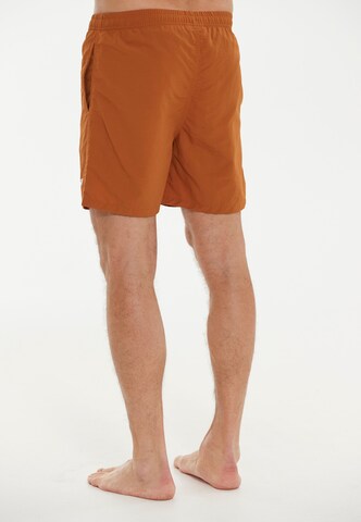 Cruz Board Shorts in Brown