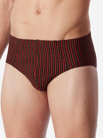 SCHIESSER Slip '95/5 Essentials - Cotton' in Gemengde kleuren