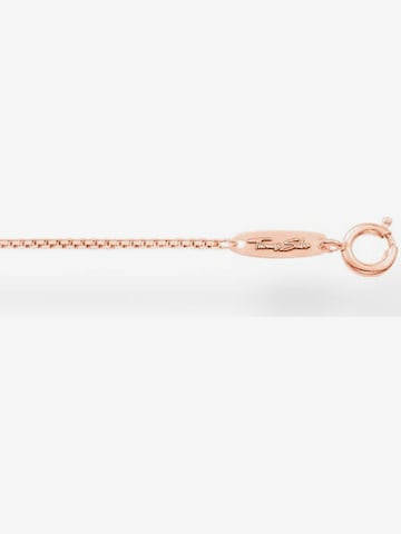 Thomas Sabo Kette in Gold