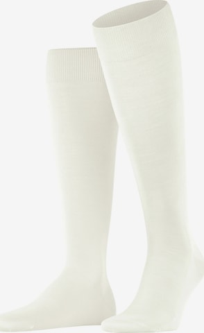 FALKE Knee High Socks 'ClimaWool' in White: front