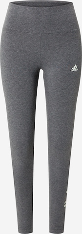 ADIDAS SPORTSWEAR Workout Pants 'Essentials' in Grey: front