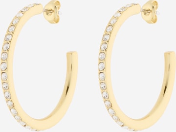 auksinė Ted Baker Auskarai 'CLANCI': priekis