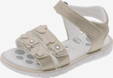 Chicco Sandaalit 'Cat' värissä kulta: etupuoli