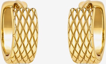 Sofia Milani Ohrringe in Gold: Vorderseite