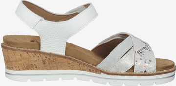 COSMOS COMFORT Sandals in Mixed colors