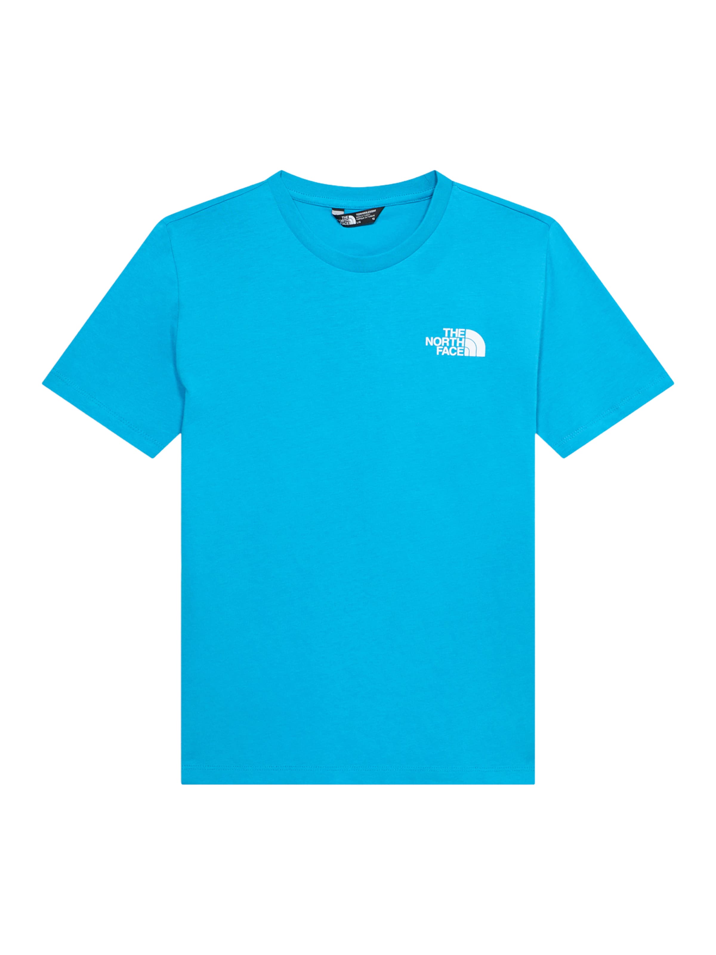 THE NORTH FACE T-Shirt in Blau: Vorderseite