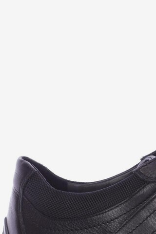 LLOYD Sneakers & Trainers in 44,5 in Black