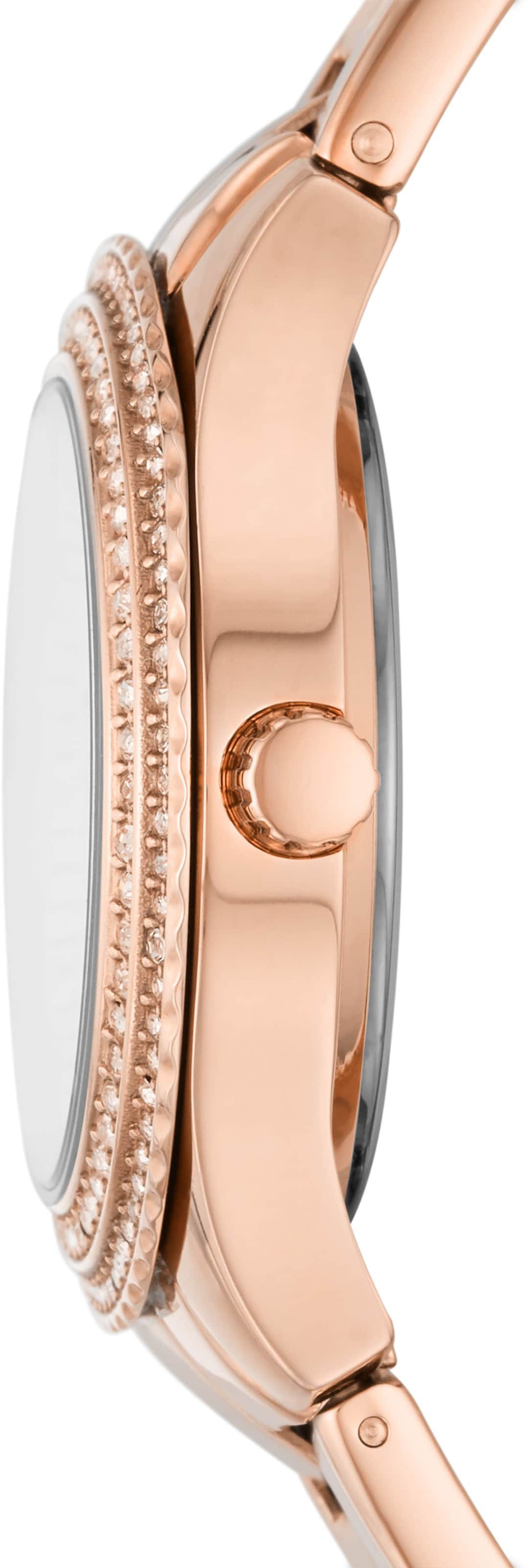 FOSSIL Analog Watch in Gold