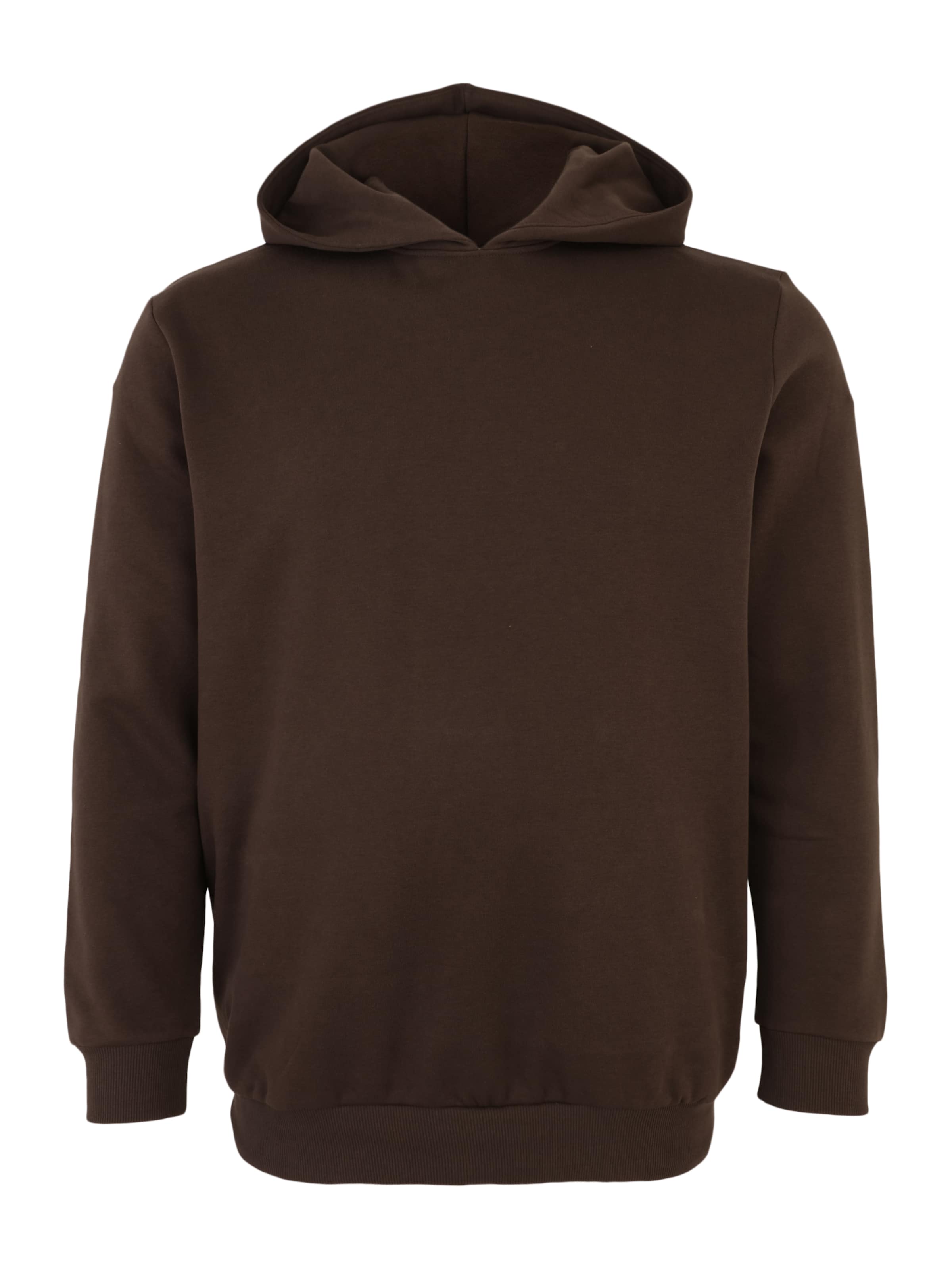 Jack & Jones Plus Sweatshirt 'JPRBLAANDREW' in Bruin: voorkant