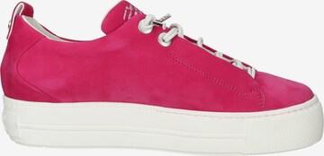 Paul Green Sneaker low i pink