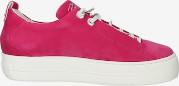 Paul Green Låg sneaker i rosa